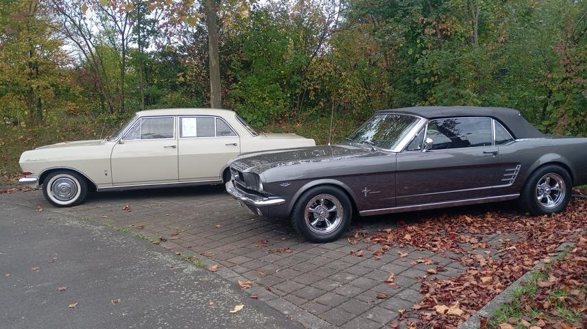 K640_IMG_20251019_110335